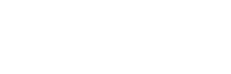 CED Stuart Logo
